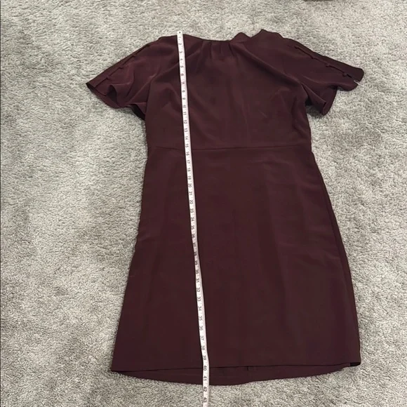 Elegant Burgundy Dress - Picture 2 of 6
